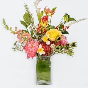 Коралловый закат