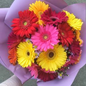 Букет 15 гербер