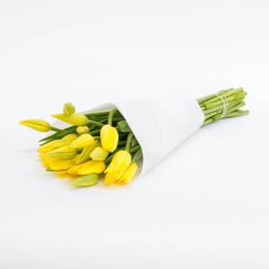Желтые тюльпаны