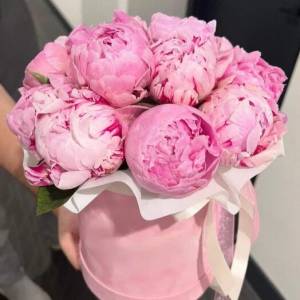 Пионы в коробке