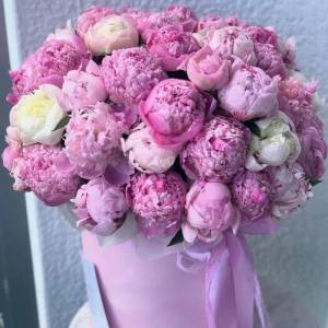 53 пиона в коробке