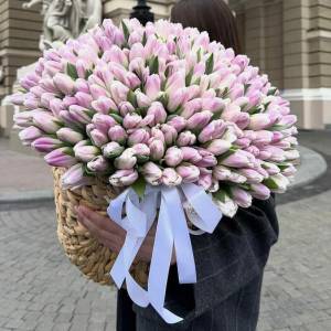 201 тюльпан в корзине