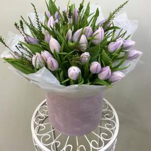 Тюльпаны в бархатной коробке