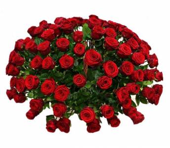 Корзина из 101 красной розы «Ред Наоми»