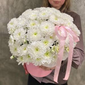 Хризантемы в коробке