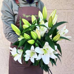 5 белых лилий