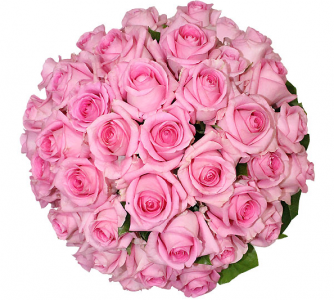 Букет из 51 розовых роз 70 см 