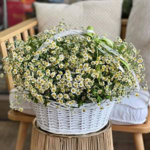 51 ромашка в корзине