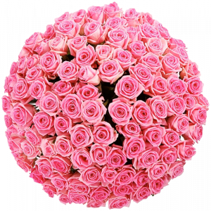 Букет из 101 розовых роз 60 см