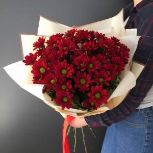 Букет из 7 бордовых ромашковых хризантем