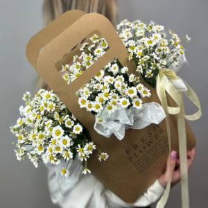 Ромашки и Сантини в крафтовой коробке 