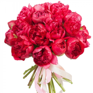 Букет из пионов "Страстное танго"