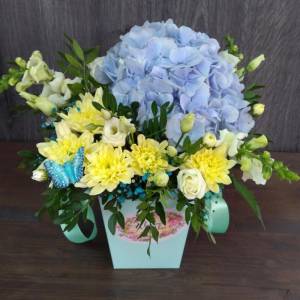 Нежная гортензия