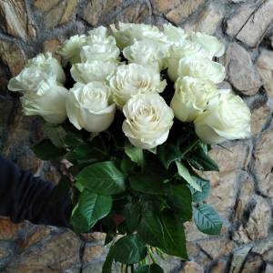 21 белая роза 60см